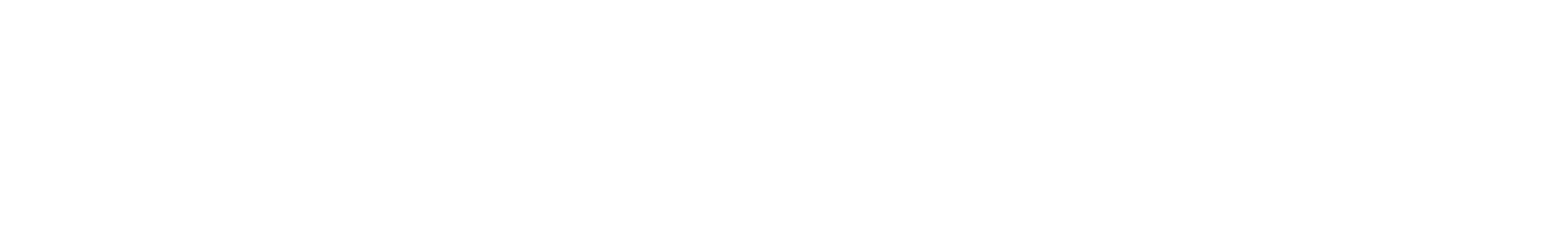 Energie Cottbus