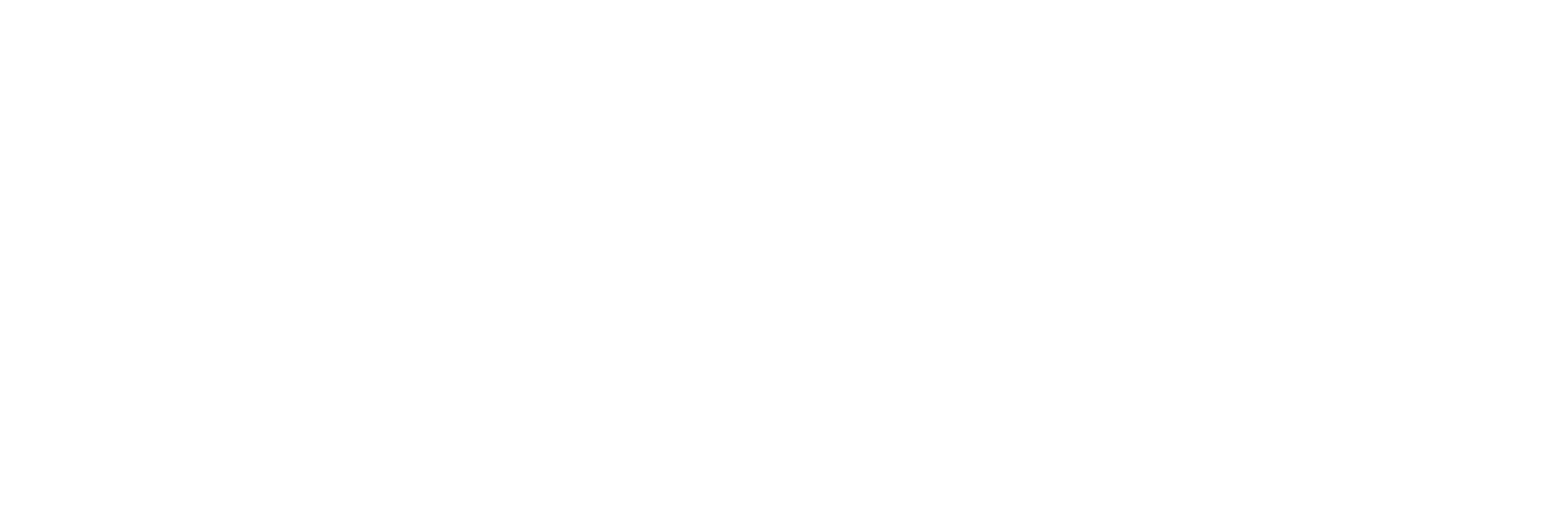 Eintracht Braunschweig